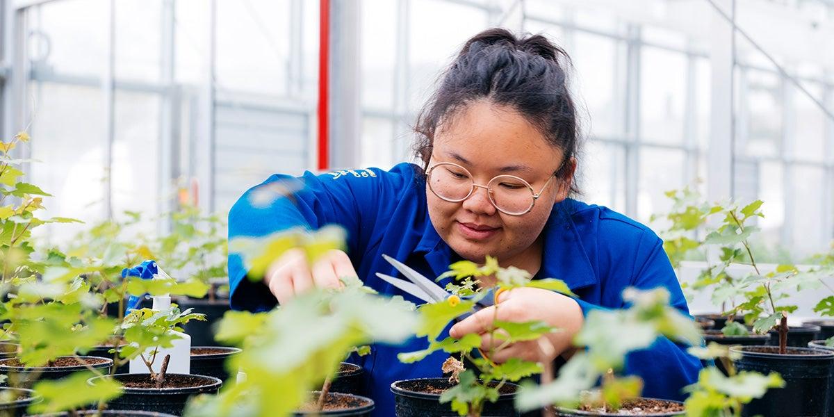 博彩平台推荐 student in a greenhouse examining plants